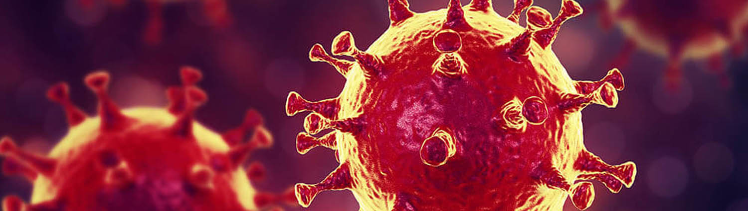 Aktivierung der Autophagie hemmt MERS-Coronavirus